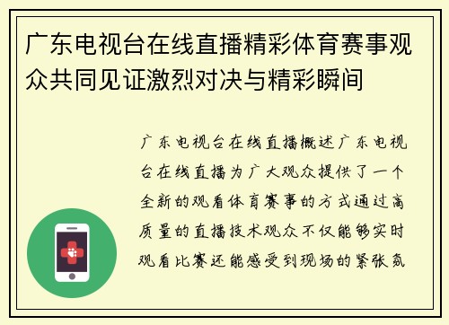 广东电视台在线直播精彩体育赛事观众共同见证激烈对决与精彩瞬间